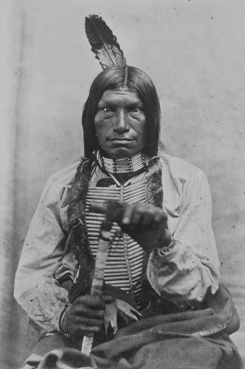Low Dog War Chief (zdjęcie czarno-białe) autorstwa David Frances Barry