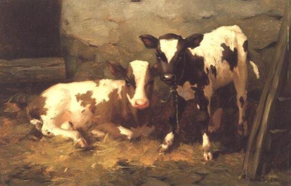Cielęta w stodole autorstwa David Gauld