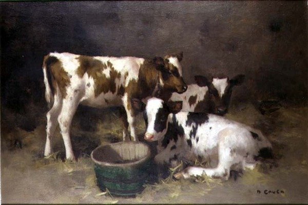 Trzy Cielęta (olej na płótnie) autorstwa David Gauld