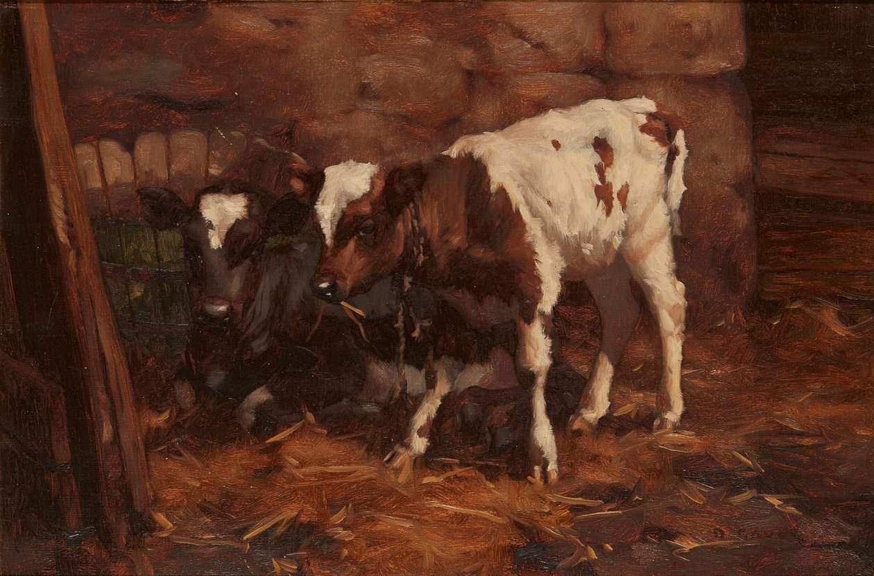 Dwa cielęta na tyłku (olej na płótnie) autorstwa David Gauld