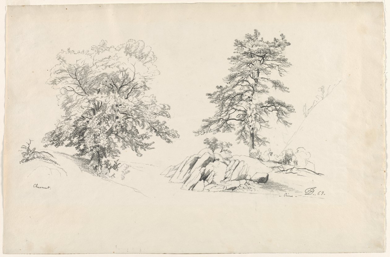 Kasztan i Sosna, 1869. autorstwa David Johnson