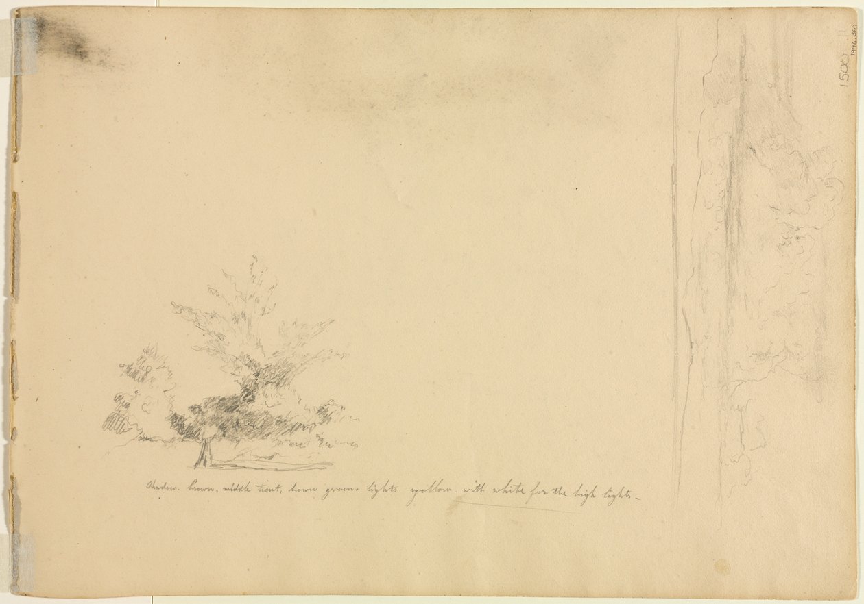 Studia krajobrazowe i drzewiaste wers. 1851. autorstwa David Johnson