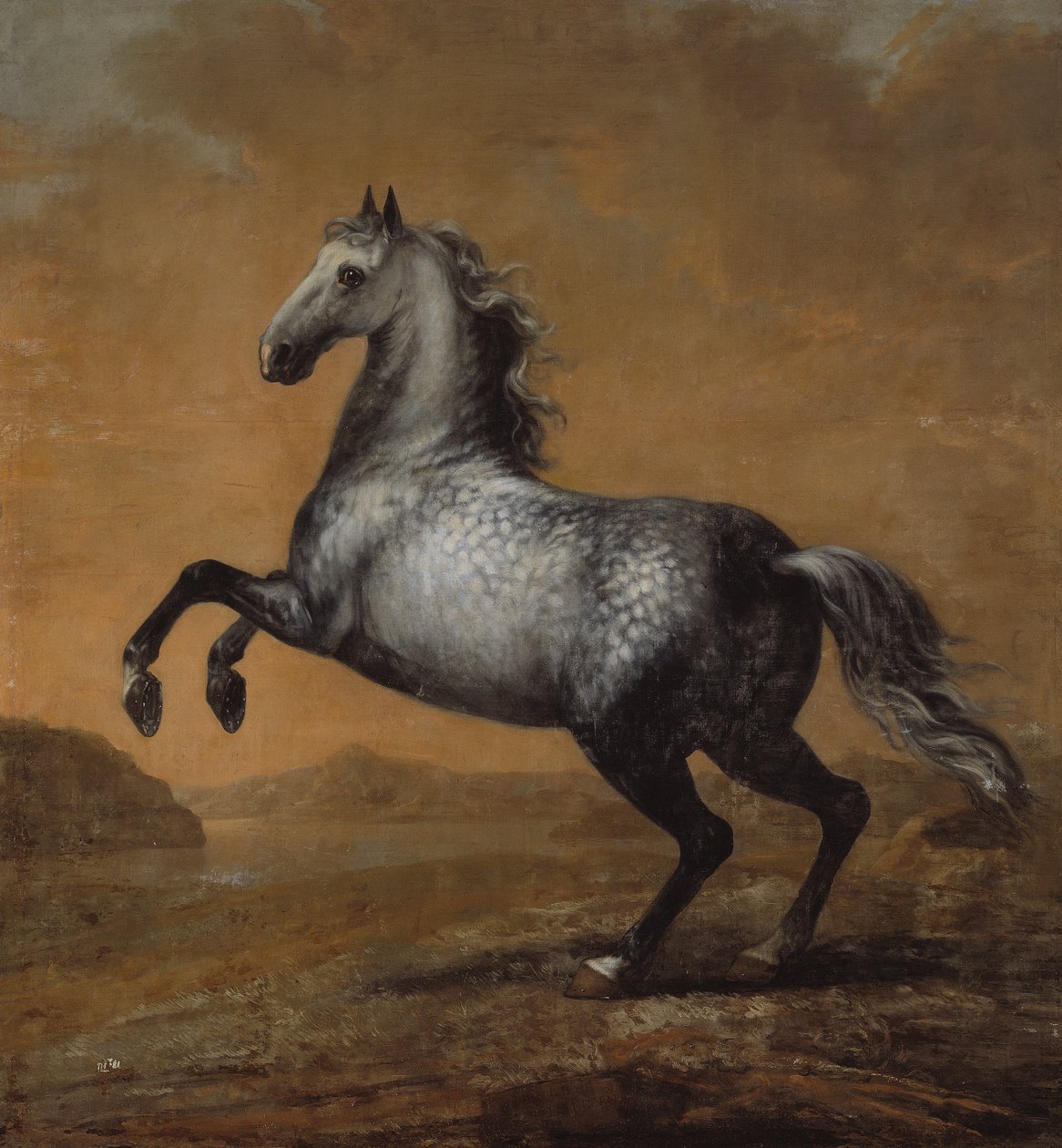 Mały Anglik, Koń króla Karola XI (1655-1697) autorstwa David Klöcker Ehrenstrahl