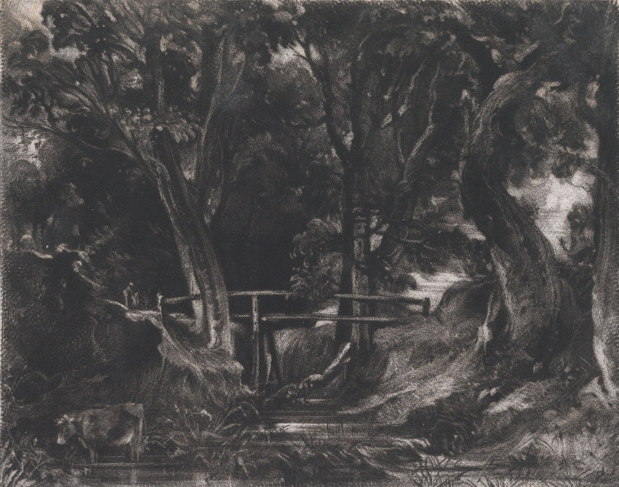Dell, Helmingham Park, Suffolk, 1830. autorstwa David Lucas