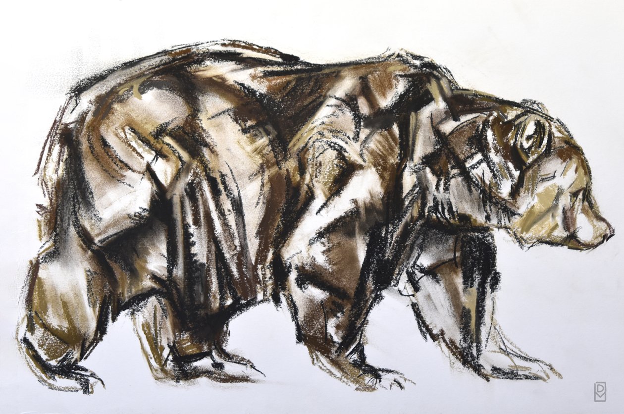 Spacerujący niedźwiedź brunatny, 2012 (Pastel/Conte na papierze) autorstwa David Mayer