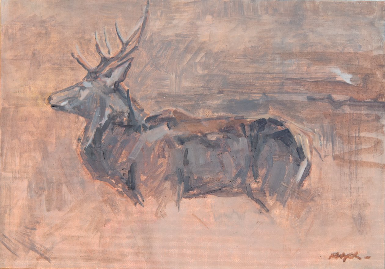 Red Deer Stag, 2023 (olej na płótnie) autorstwa David Mayer