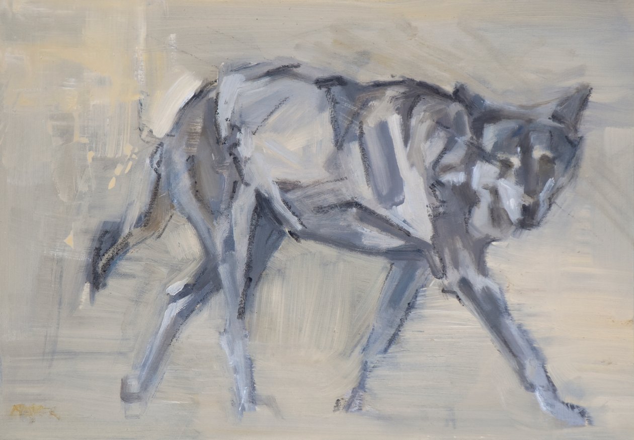 Wolf 11, 2023 (olej na panelu) autorstwa David Mayer