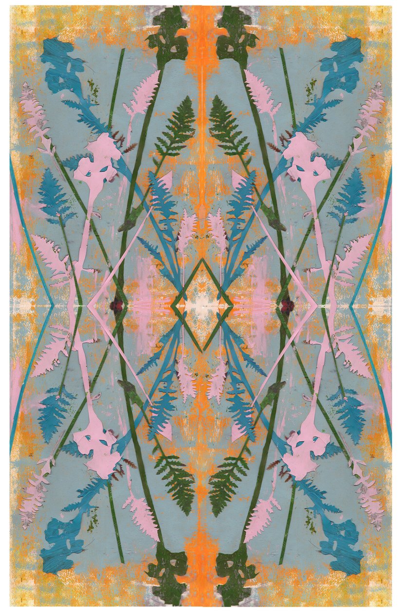 Kolaż botaniczny # 2, 2017 autorstwa David McConochie
