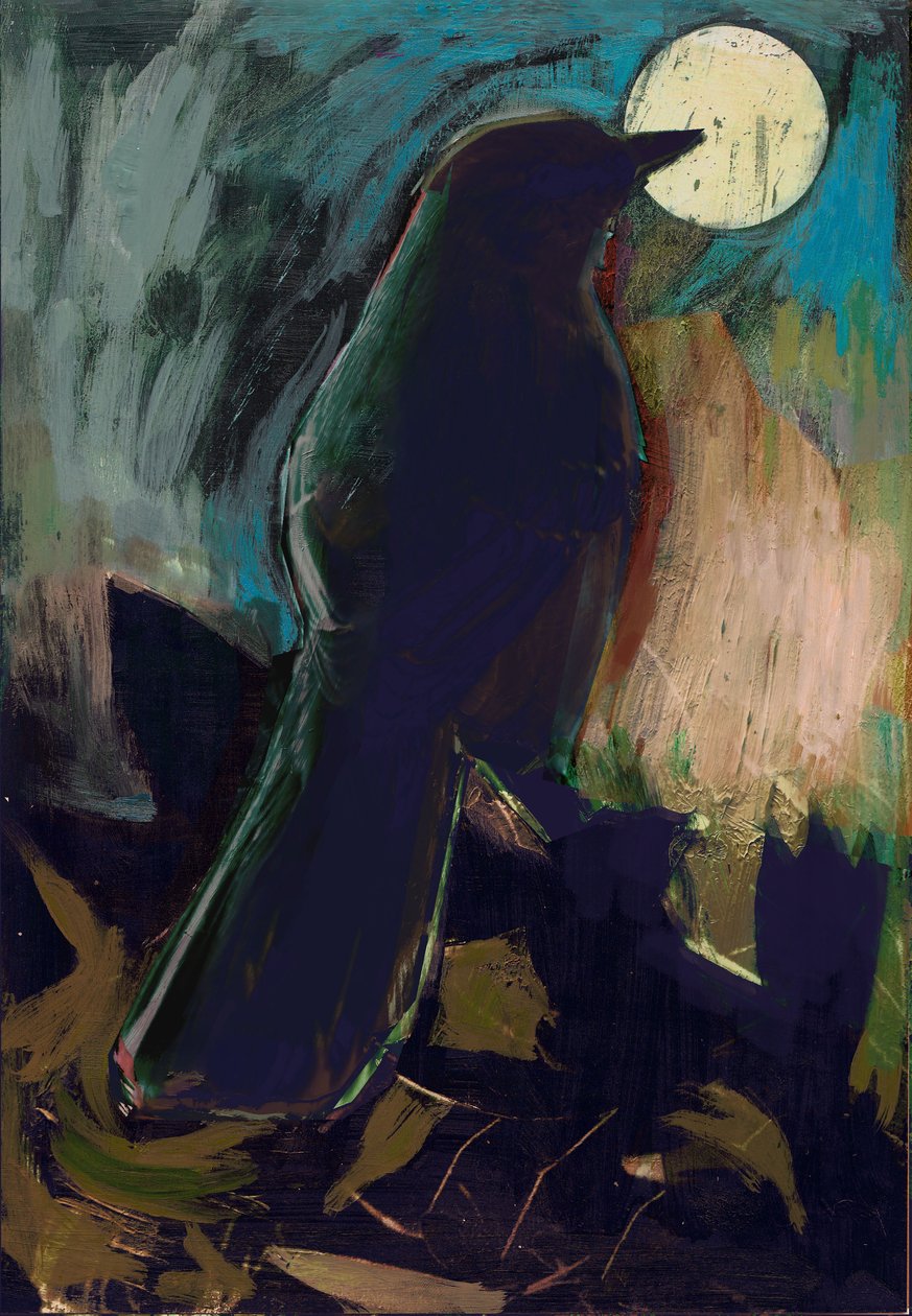 Przedrzeźniacz, 2016 autorstwa David McConochie