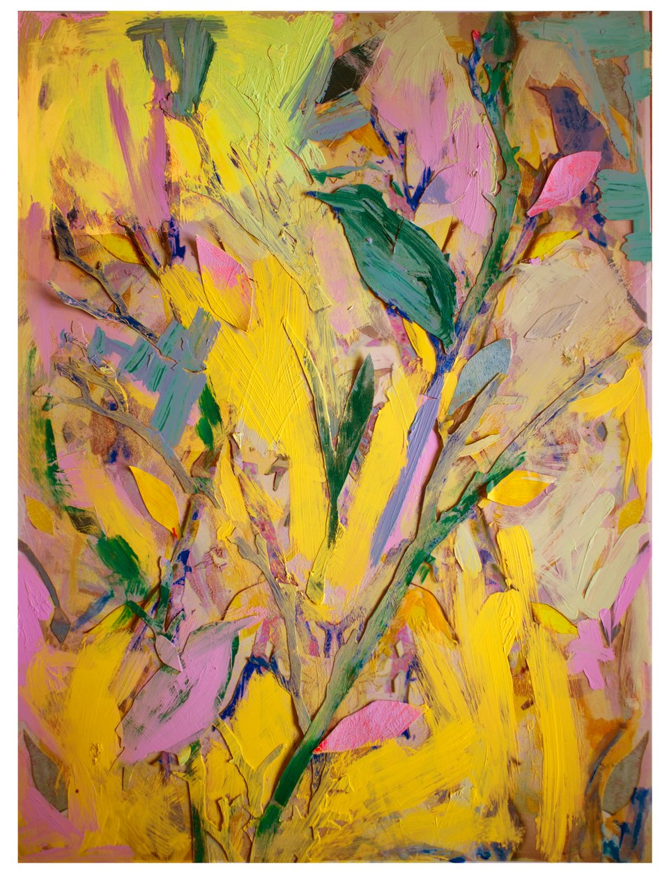Szpaki, 2017 autorstwa David McConochie