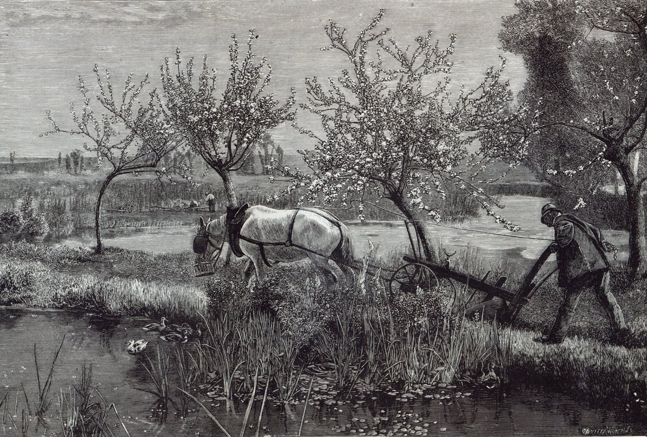 „Mała farma dobrze zagospodarowana”, Pikardia, z „Godziny czasu wolnego”, 1888 r. autorstwa David Murray