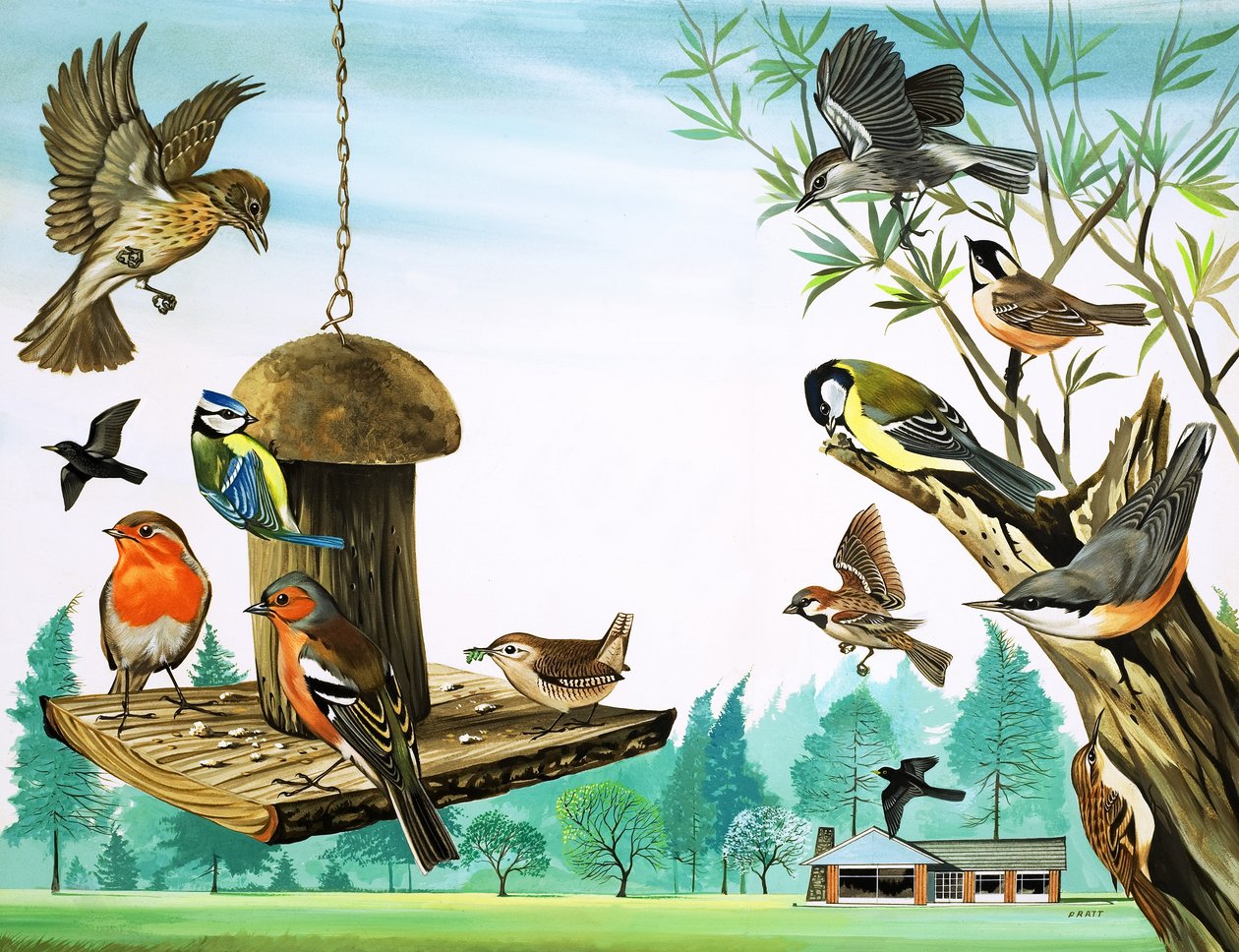 Różne ptaki wokół stołu w ogrodzie, ilustracja z filmu "Dawno, dawno temu autorstwa David Pratt