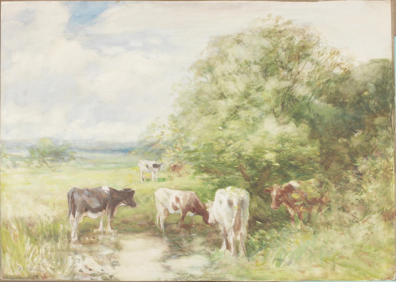 polish autorstwa David T. Robertson