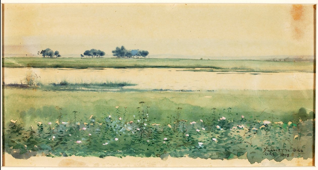 (Krajobraz z bagnami) autorstwa De Lancey Gill