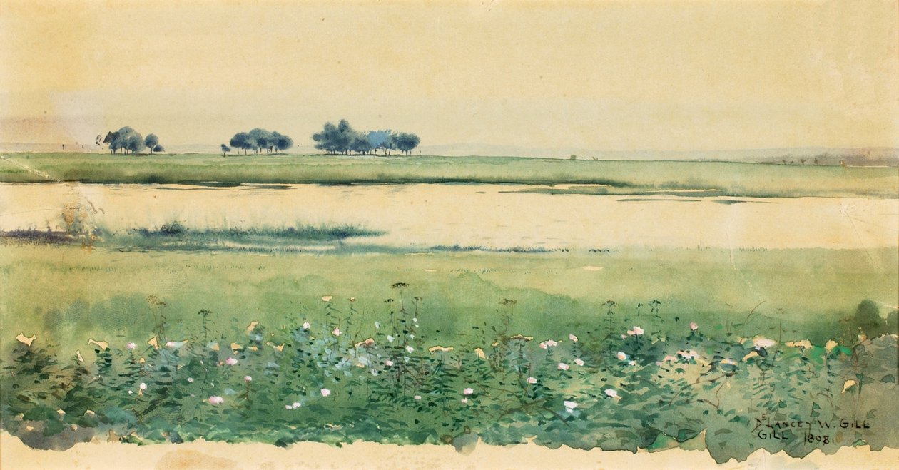 Krajobraz z bagnami, 1898. autorstwa De Lancey Gill