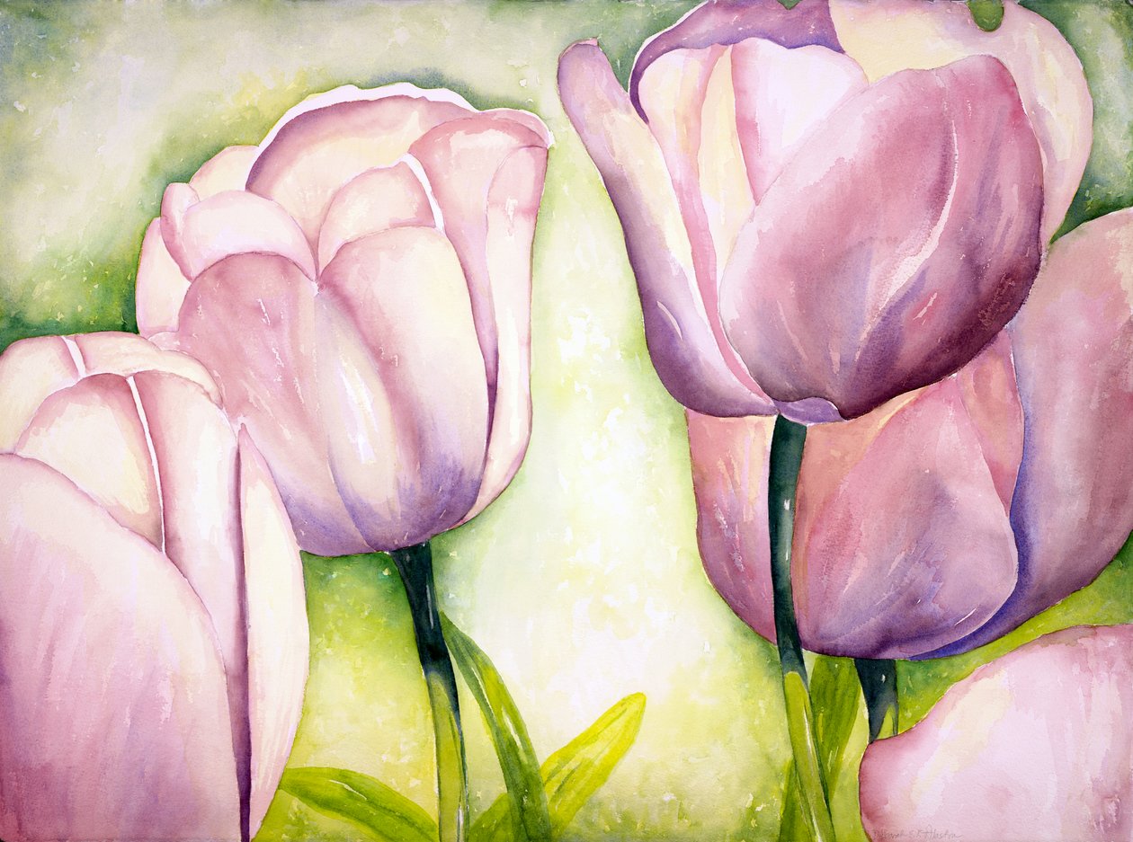 Lawendowe tulipany, 2006 (akwarela) autorstwa Deborah Eve Alastra