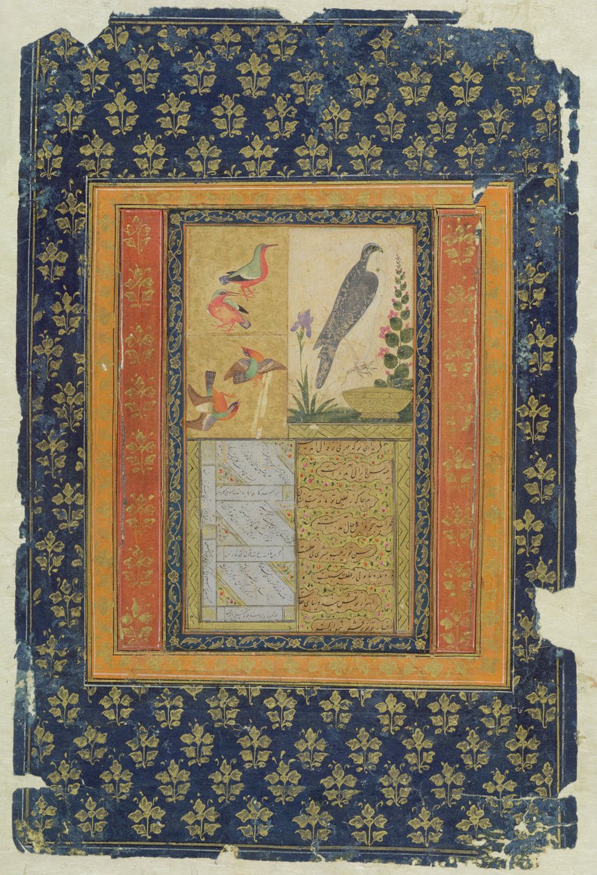 Studium ptaków i kaligrafia, Golconda, Andhra Pradesh, 1570 (gwasz, atrament i złoto na papierze ze zdobioną obwódką) autorstwa Deccani School