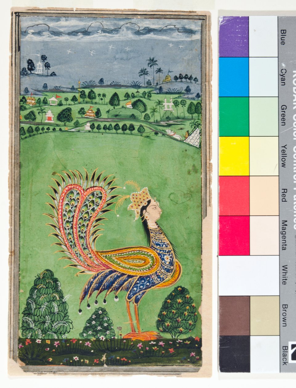 Mityczny paw z kobiecą głową, ok. 1750 (nieprzezroczysty w/c i złoto na papierze) autorstwa Deccani School