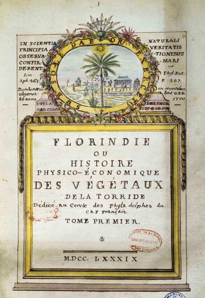 Frontyspis Florindie lub Fizyko-ekonomiczna historia roślin Torride autorstwa Delahaye Delahaye