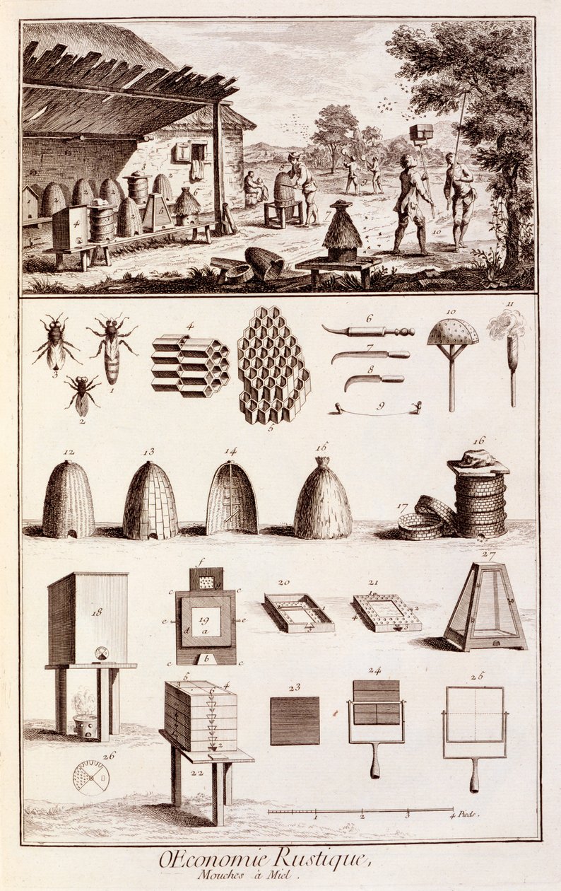 Pszczelarstwo, ze „Dictionary of Sciences”, c.1770 (patrz także 746839) autorstwa Denis Diderot