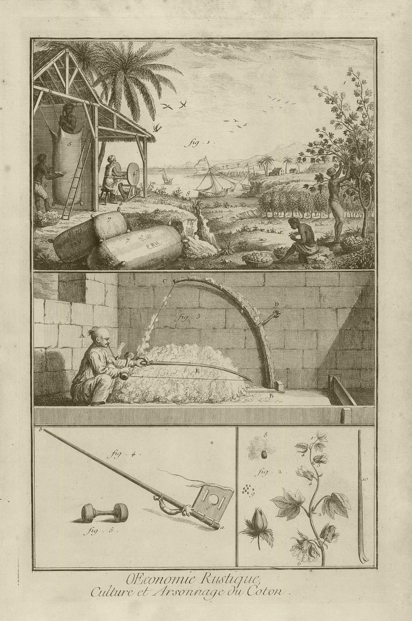 Pole bawełny w Ameryce; Młócenie łukiem; Bawełna (tytuł), 1762 autorstwa Denis Diderot