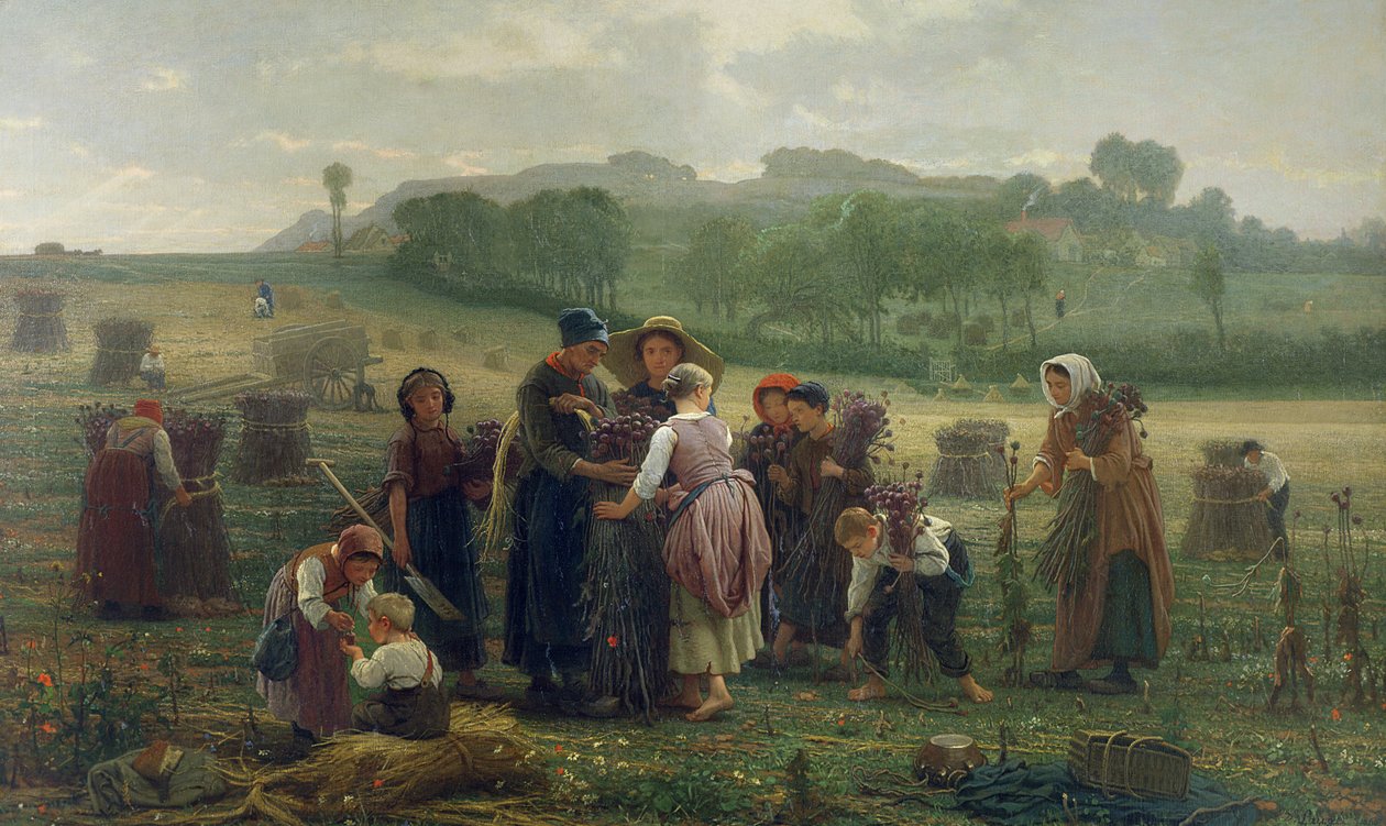 Zbieranie maków w Pikardii, 1860 autorstwa Desire Francois Laugee