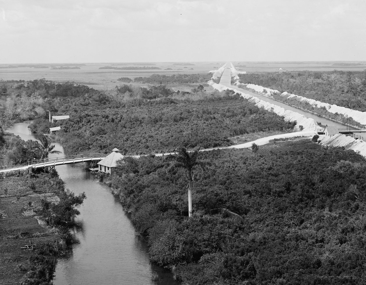 Kanał odwadniający i Everglades, Miami, Floryda, c.1910-20 autorstwa Detroit Publishing Co.