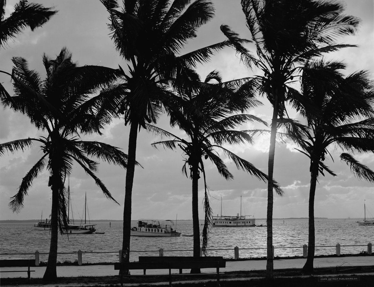 Zachód słońca, Biscayne Bay, Miami, Floryda, ok. 1910-20 autorstwa Detroit Publishing Co.