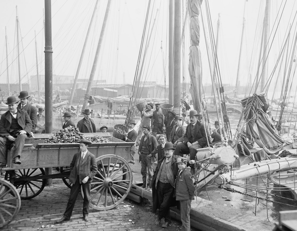 Rozładunek luggerów ostryg, Baltimore, Maryland, 1905 autorstwa Detroit Publishing Co.