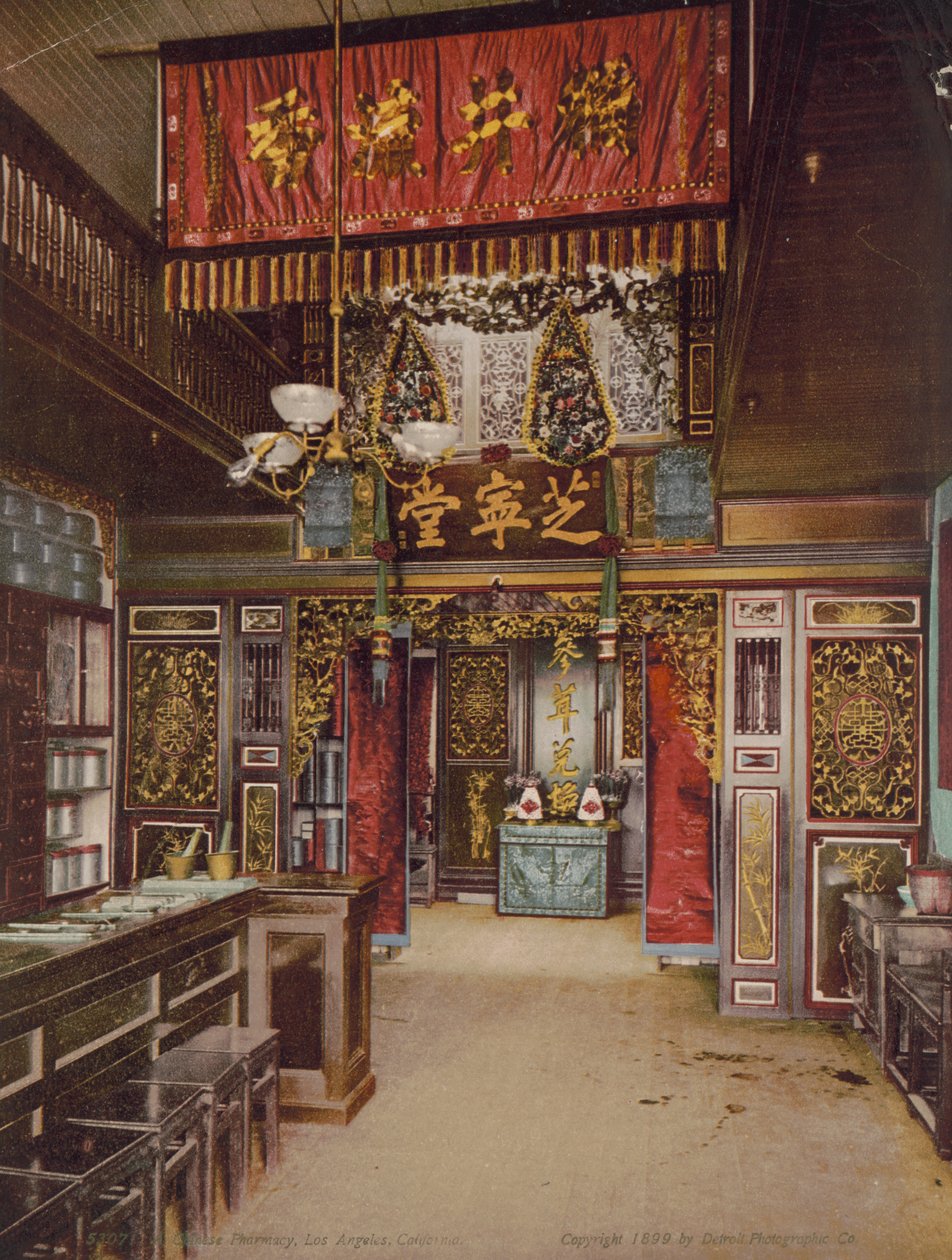 Chińska apteka, Los Angeles, Kalifornia, 1899 autorstwa Detroit Photographic Co.