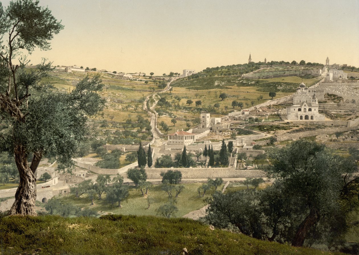 Góra Oliwna i Getsemani, widok ogólny, Jerozolima, ok. 1890-ok. 1900 (odbitka fotochromowa) autorstwa Detroit Photographic Co.