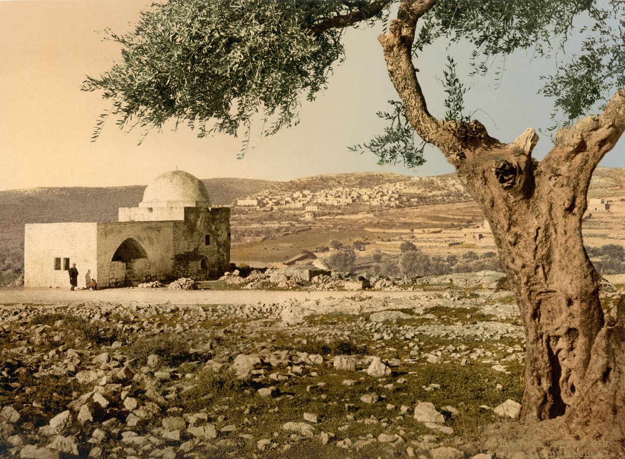 Grób Racheli, Jerozolima, Ziemia Święta, ok. 1890-ok. 1900 (odbitka fotochromowa) autorstwa Detroit Photographic Co.