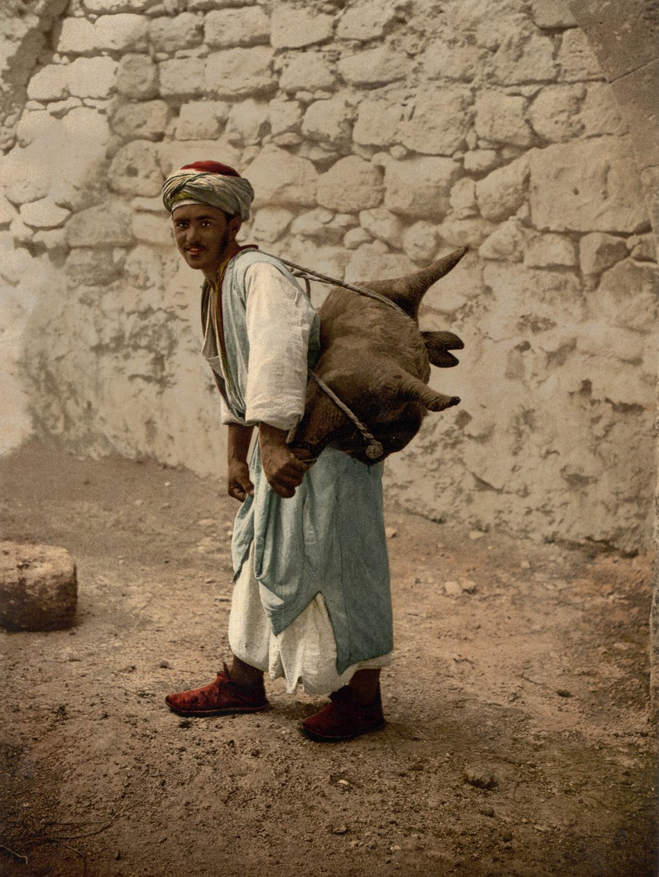 Wozidło Jerozolimy, Ziemia Święta, ok. 1890-ok. 1900 (odbitka fotochromowa) autorstwa Detroit Photographic Co.