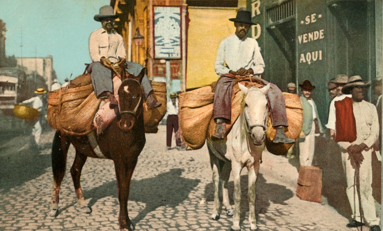 Warzywa, Hawana, Kuba, 1904. autorstwa Detroit Photographic Company