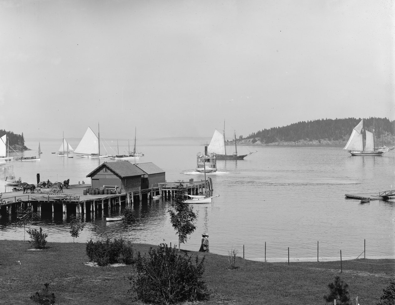 Bar Harbor, Mount Desert Island, Maine, port z Newport House, ok. 1901 r. autorstwa Detroit Publishing Co.