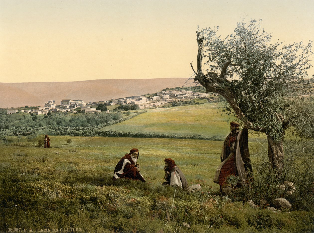 Widok ogólny, Kana Galilejska, Ziemia Święta, ok. 1890-1900 (odbitka fotochromowa) autorstwa Detroit Publishing Co.
