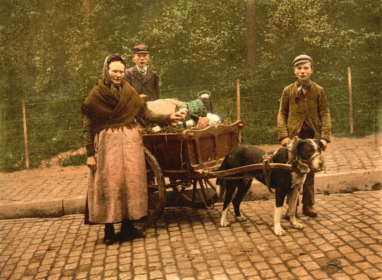 Sprzedawcy mleka, Bruksela, Belgia, ok. 1900 autorstwa Detroit Publishing Co.