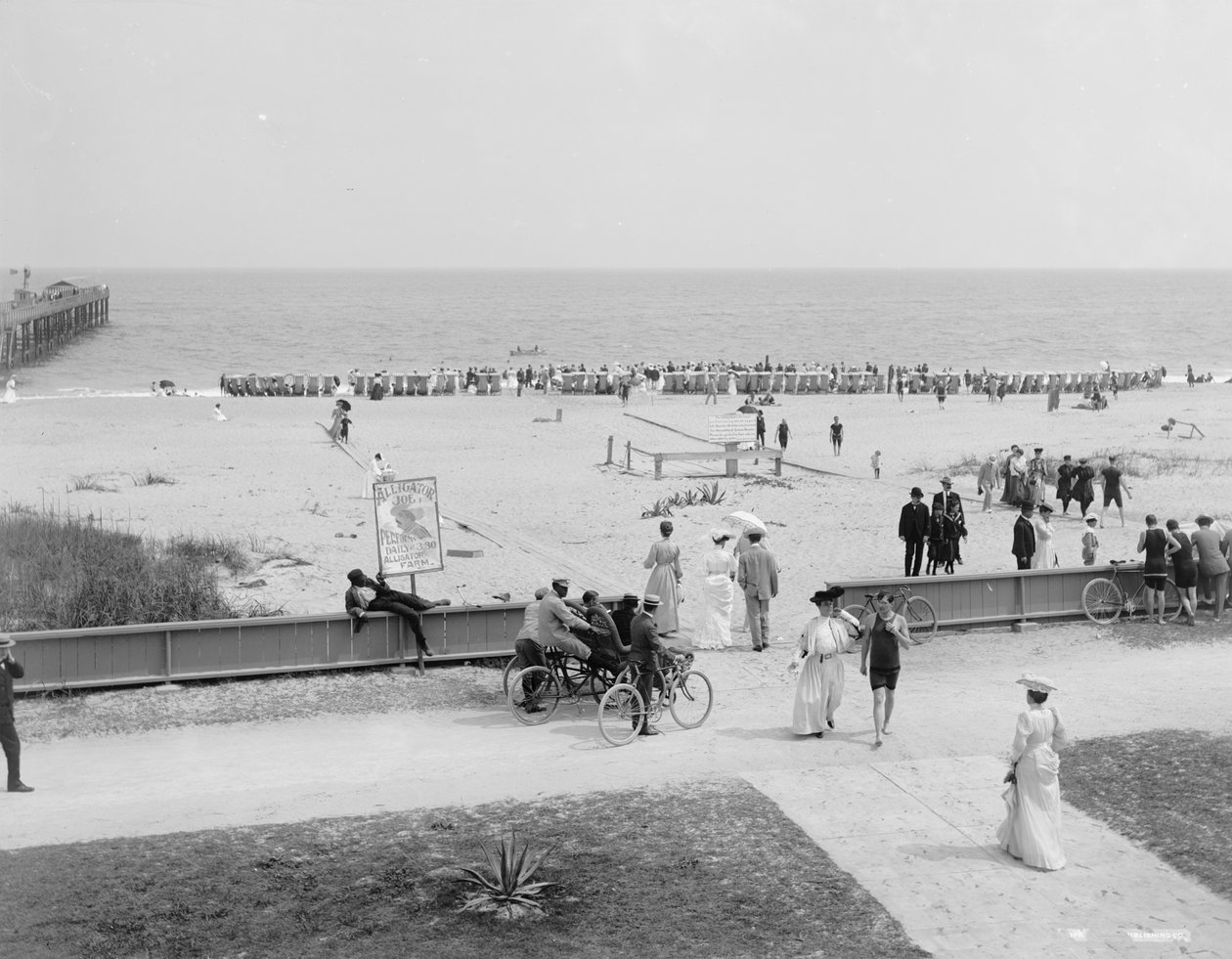 Palm Beach, Floryda, ok. 1905 (zdjęcie czarno-białe) autorstwa Detroit Publishing Co.