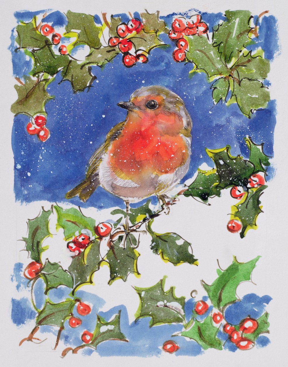 Boże Narodzenie Robin, 1996 (wc) autorstwa Diane Matthes