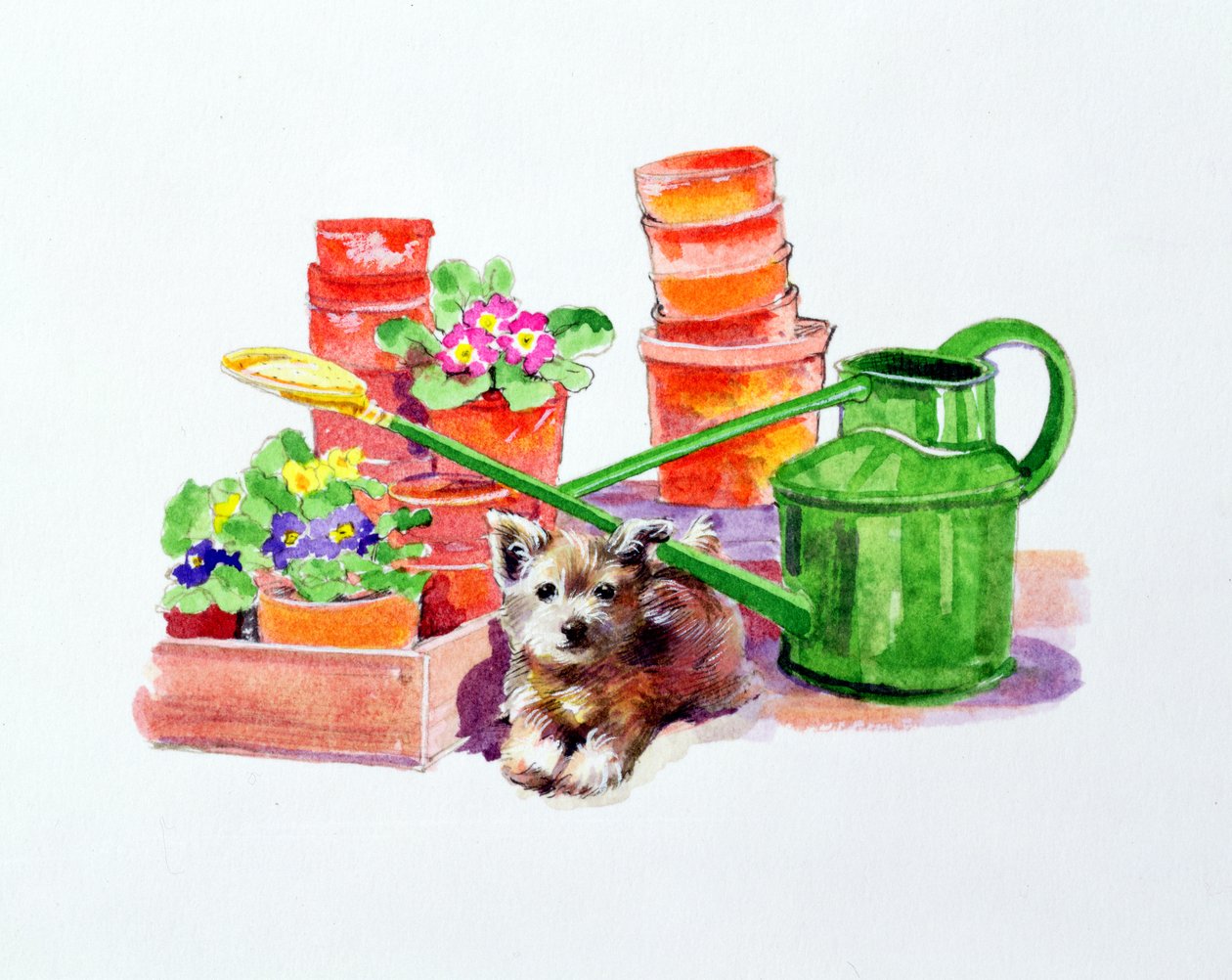 Terrier wśród doniczek z terakoty autorstwa Diane Matthes