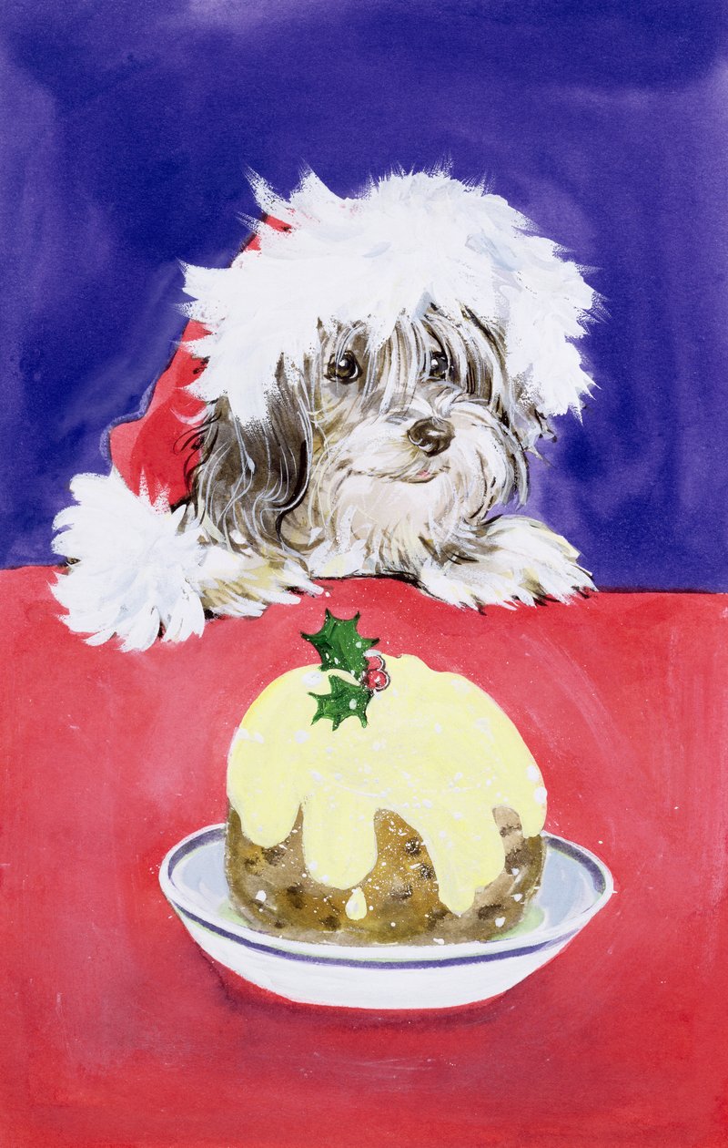 Świąteczny Pudding autorstwa Diane Matthes