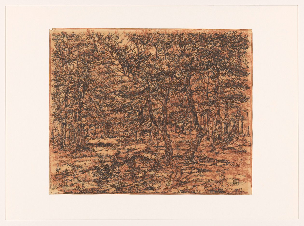 leśny krajobraz autorstwa Dick Ket (signed by artist)