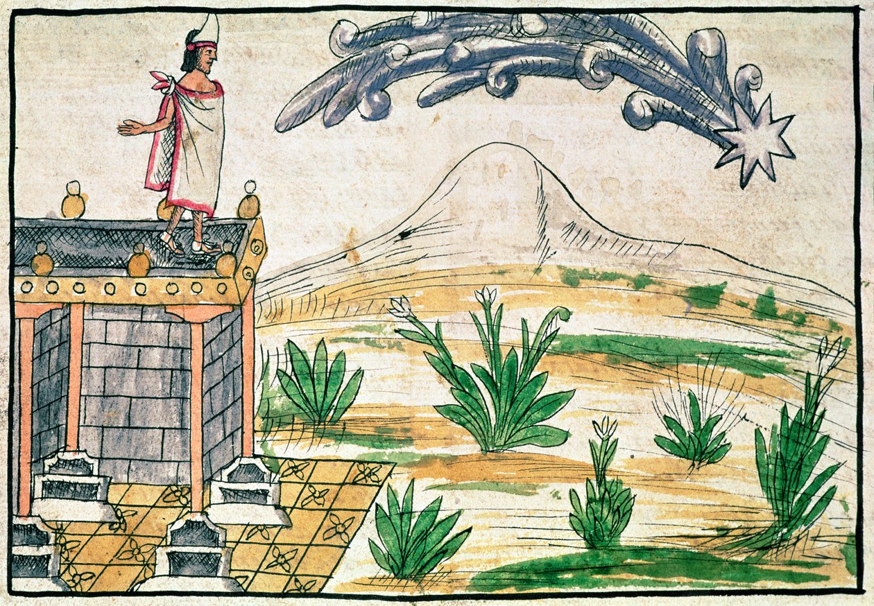 Montezuma II (1466-1520) obserwujący kometę, 1579 (welum) autorstwa Diego Duran