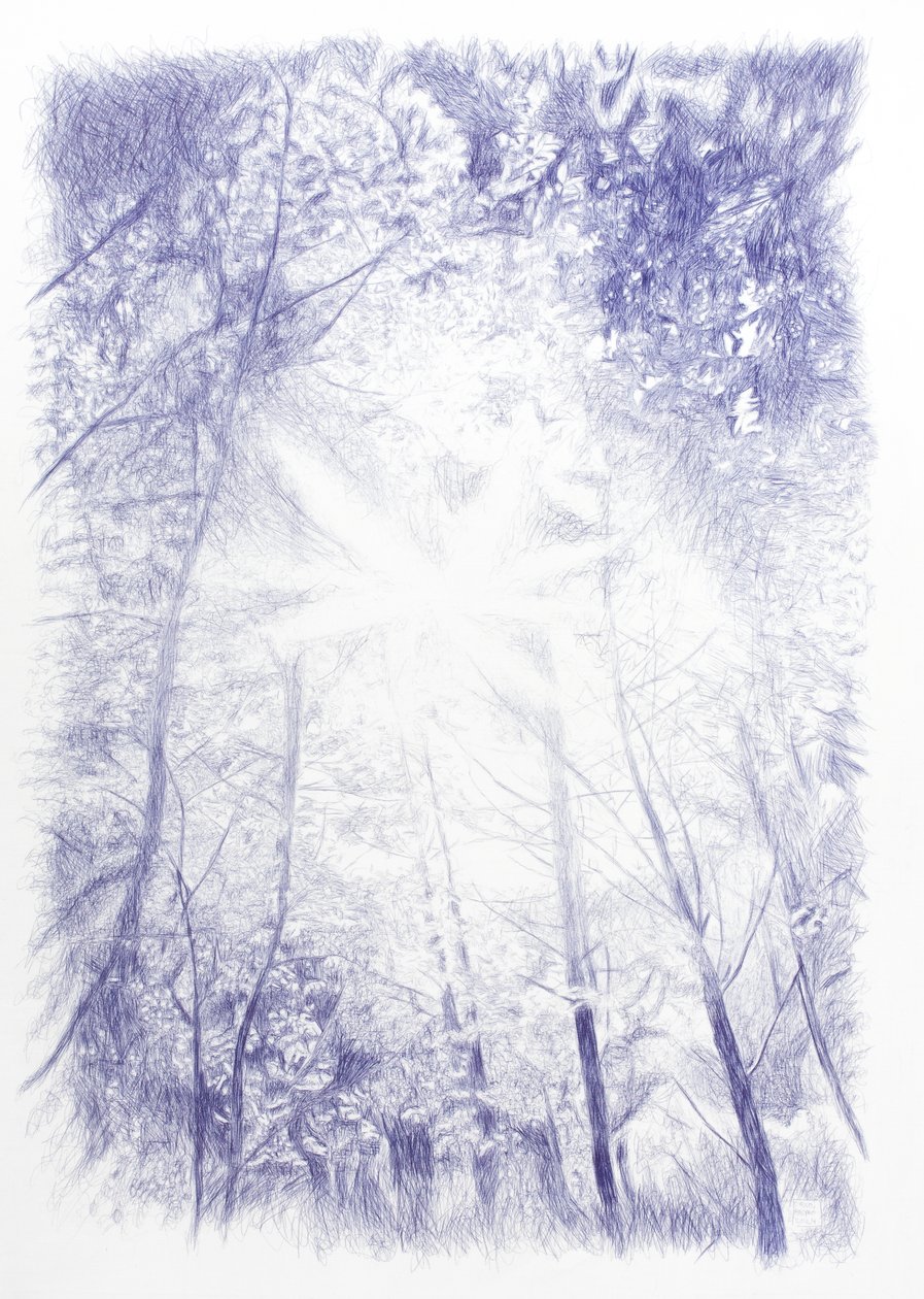  autorstwa Diego Beyro