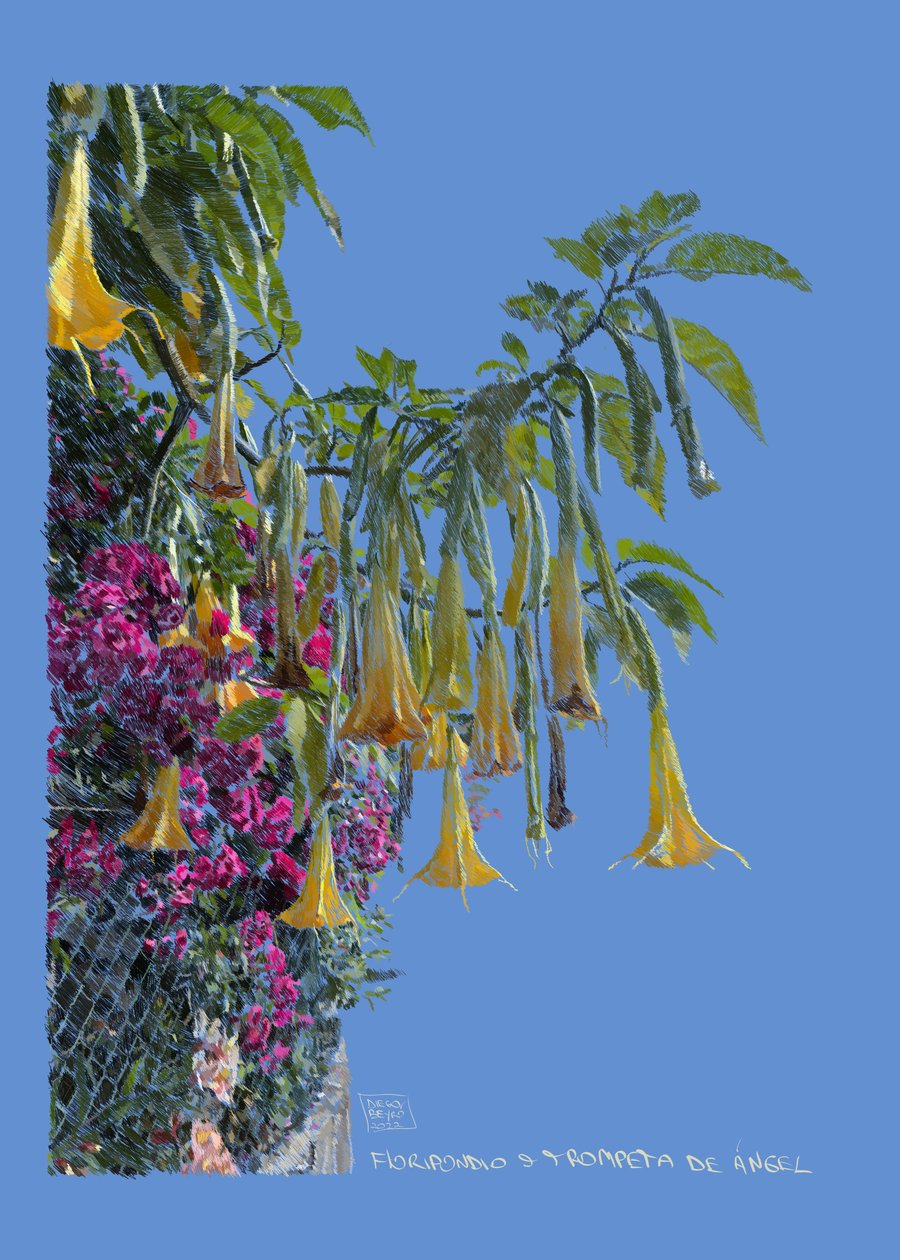  autorstwa Diego Beyro