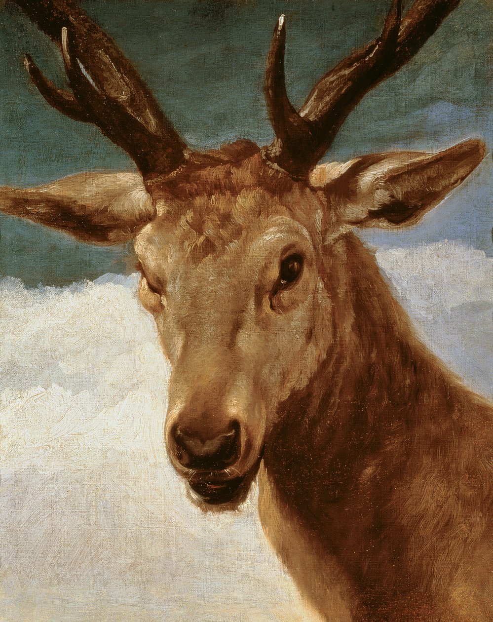 Głowa Jelenia, 1634 autorstwa Diego Velázquez