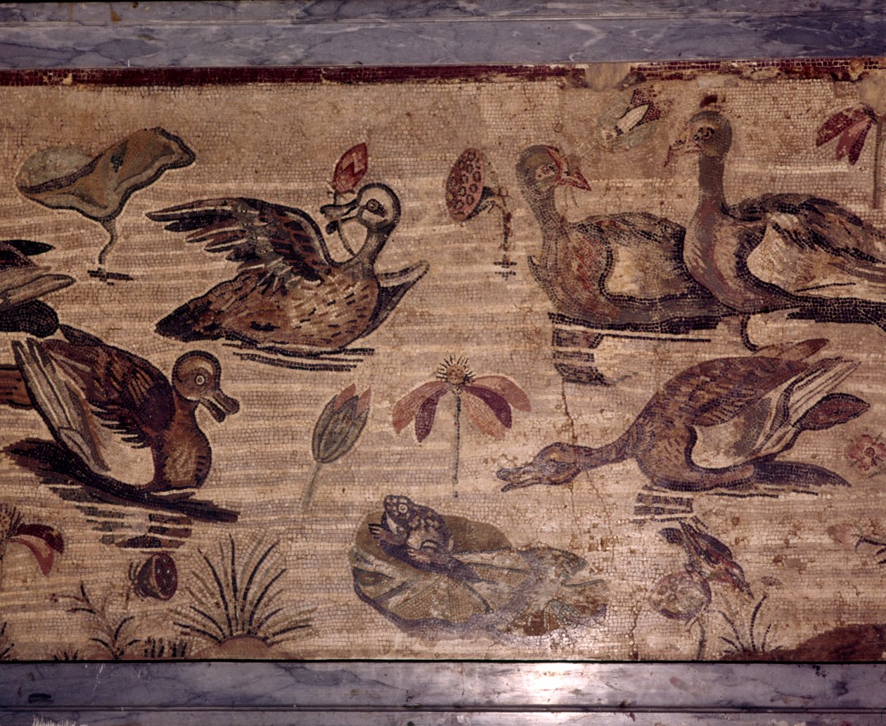 Rzymska mozaika z Pompei przedstawiająca kaczki i żaby w ogrodzie wodnym, I wiek autorstwa Dioscurides of Samos