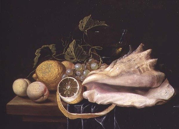 Martwa natura z muszlą Strombusa i owocami autorstwa Dirck Sauts