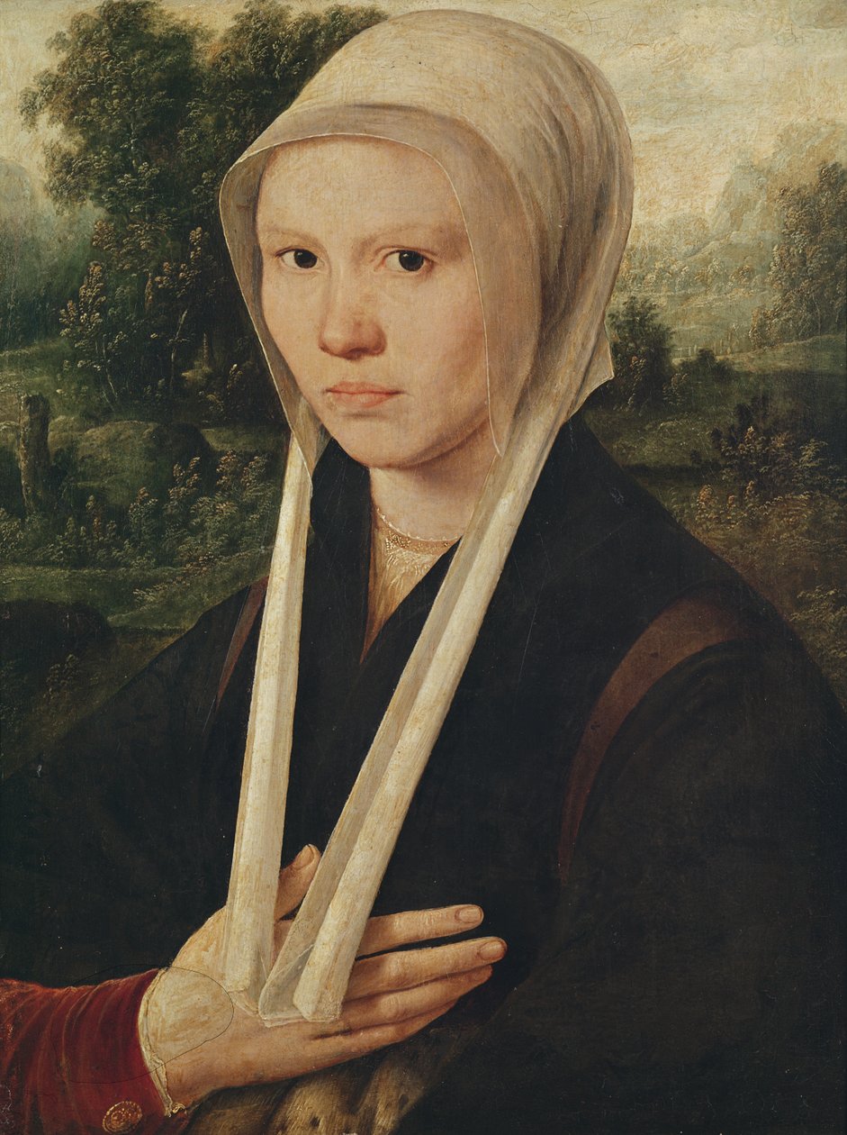 Portret młodej kobiety, ok.1530 autorstwa Dirk Jacobsz