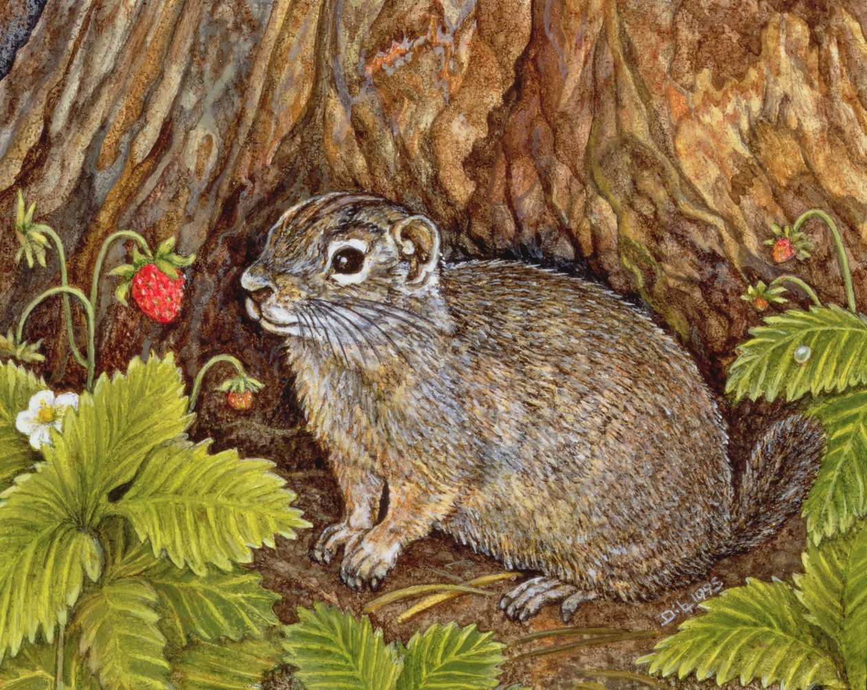 Eagle Creek, Wild Strawberry, Ground Squirrel, 1995 (akryl na panelu) autorstwa Ditz